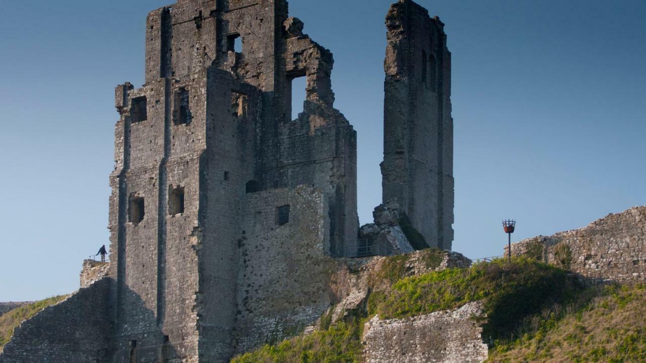 Ammonite Bed & Breakfast Corfe Castle Exterior photo